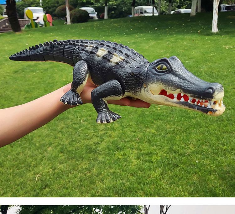 電動ワニのおもちゃ - 歩行＆サウンド - 3歳以上