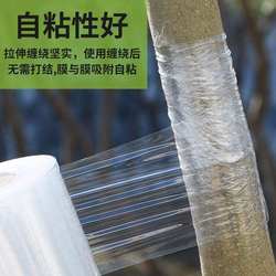 Grafting Film Special Pe Film Self-Adhesive Fruit Tree Tape Fresh-Keeping Wrapping Protection Supplies Bandaging Tool