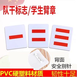 Young Pioneers Armbands for Primary School Students, One Bar, Two Bars, Three Bars, Armbands, Small and Medium Captain Cadres Logo, School Use