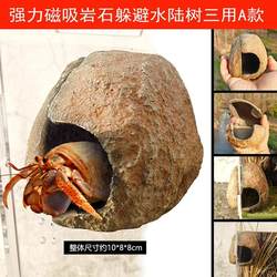 Climbing pet box acrylic glass tank to avoid the eyelash giant R genus gecko bird spider pet snake cave cave