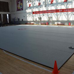 Manufacturer of Sanda Sports Roll Mats, Martial Arts Mats, Xpe Wrestling, Boxing, and Fighting Roll Mats for Fitness