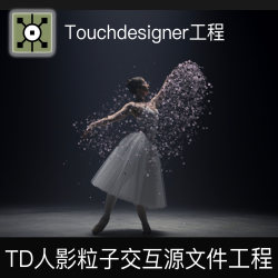 Touchdesigner project human shadow particle interactive video to particle camera interactive project source file