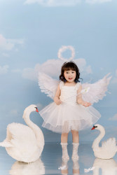 Super fairy angel baby photo costume
