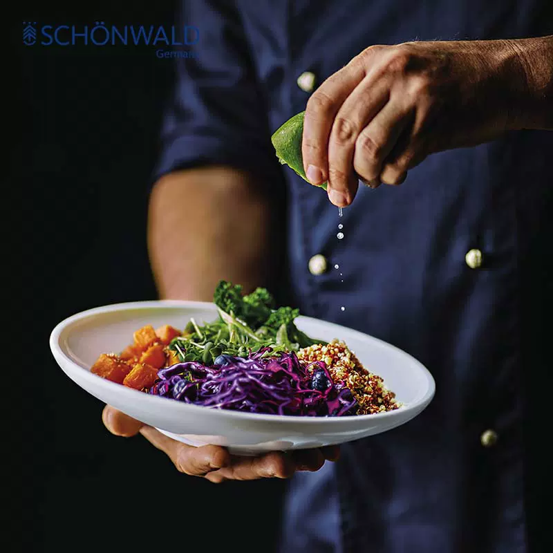 SCHONWALD 森沃陶瓷德国原装进口正品餐具釉下彩餐盘碗碟