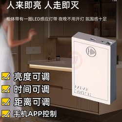 12V radar induction power bank LED light strip without plug-in wireless bathroom cabinet shoe cabinet wardrobe balcony sensor light