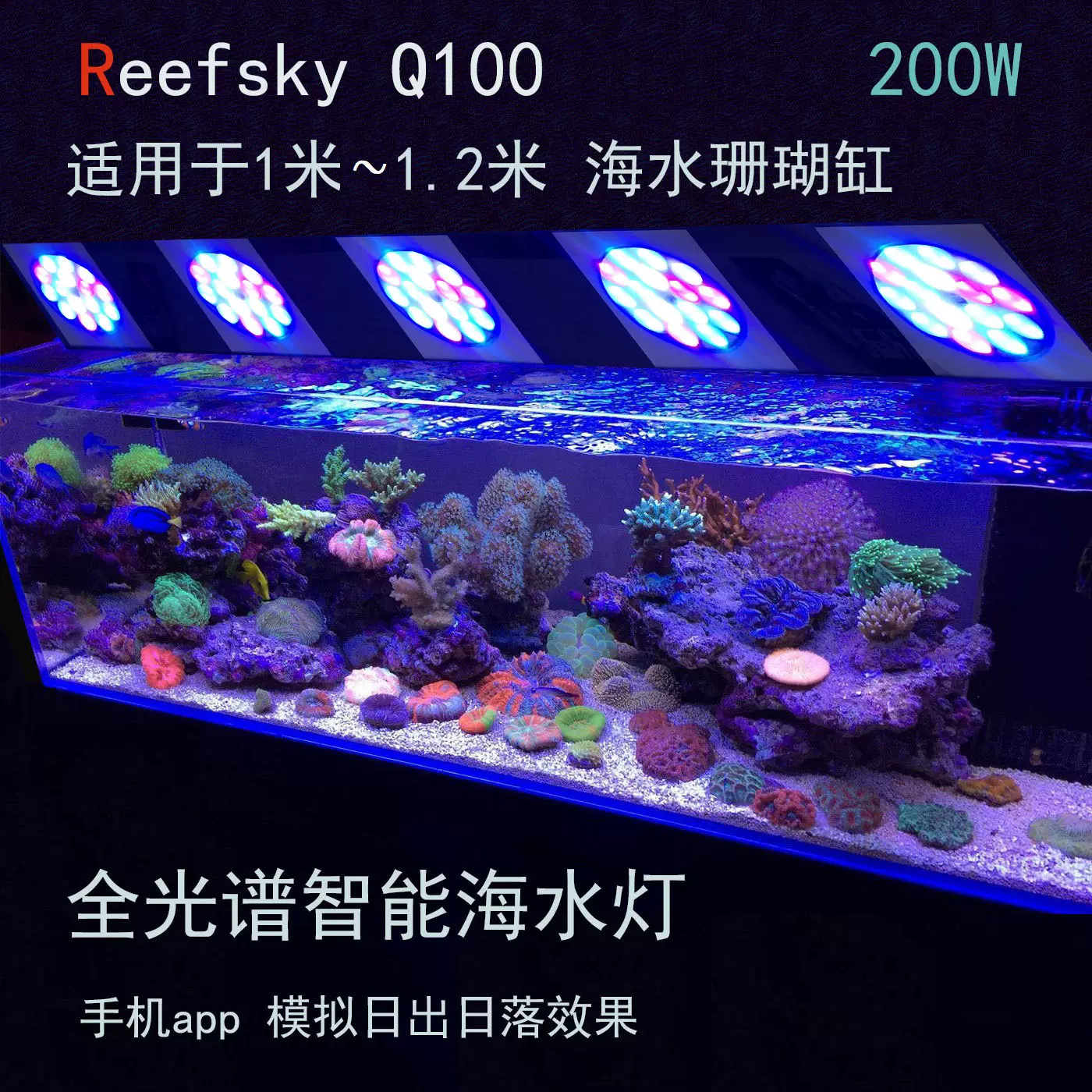 Reefsky全光譜智能led海水燈珊瑚燈app日出日落1米缸