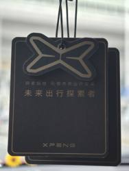 Car Fragrance, Car Fragrance Tablets, Car Hanging Fragrance Tablets, Long-Lasting Light Fragrance Tablets, Car Odor Removal Fragrance Tablets