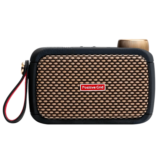 
Dashu Music House Positive Grid Smart Electric Guitar Speaker Spark Go Professional Instrument