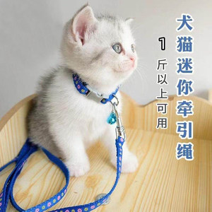 Kitten traction Cat special anti -break can regulate small milk cat tea cup dog puppies out of German walking cat ropes
