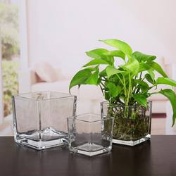 Simple Square Glass Vase, Round Hydroponic Vessel, Water-Cultured Pothos Flower Arrangement Container, Living Room Home Decoration Ornaments