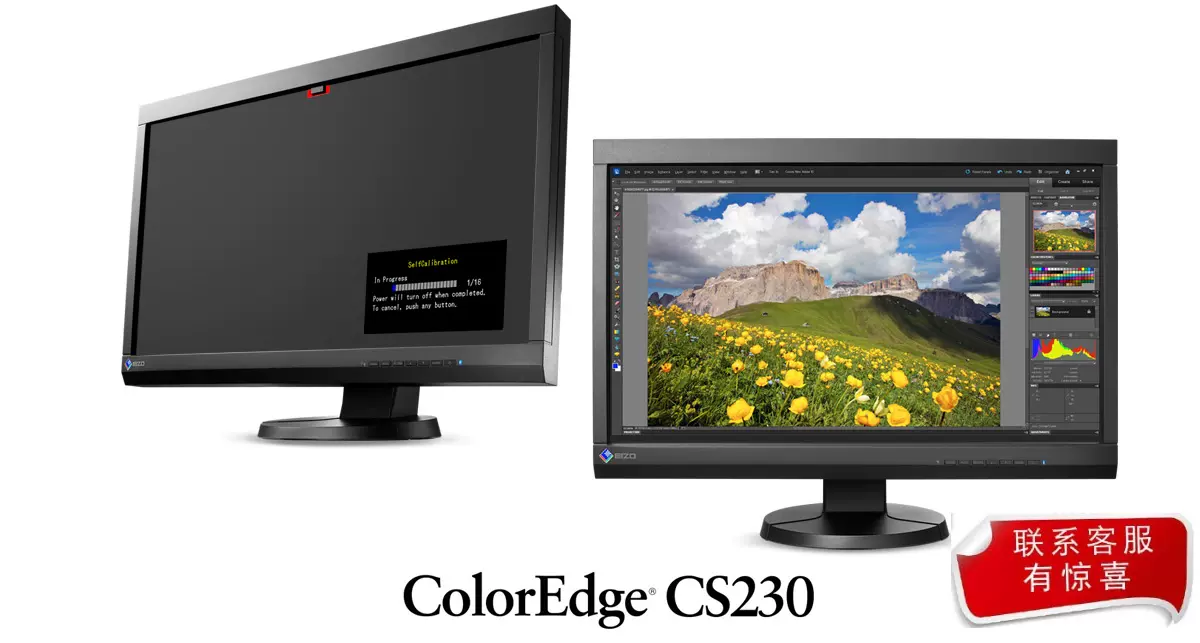 EIZO ColorEdge CS2410-BK カラーマネジメント液晶モニター - ディスプレイ