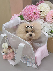 Pet Travel Bag Owl Pet Australian Cat Carrier Portable Travel Bag Dog Travel Bag Breathable Bag Small Dog