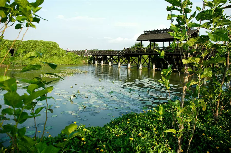 海上田园农家风情寨景区图片