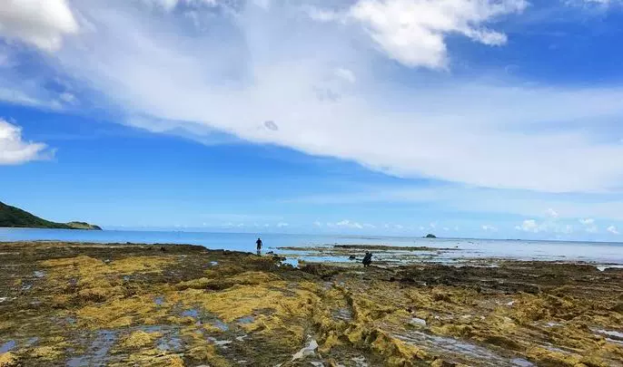 鳄鱼岛图片