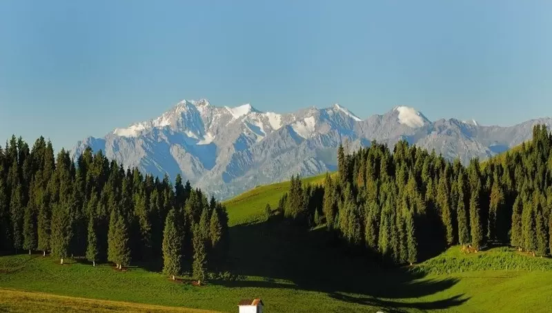 南山庙儿沟图片