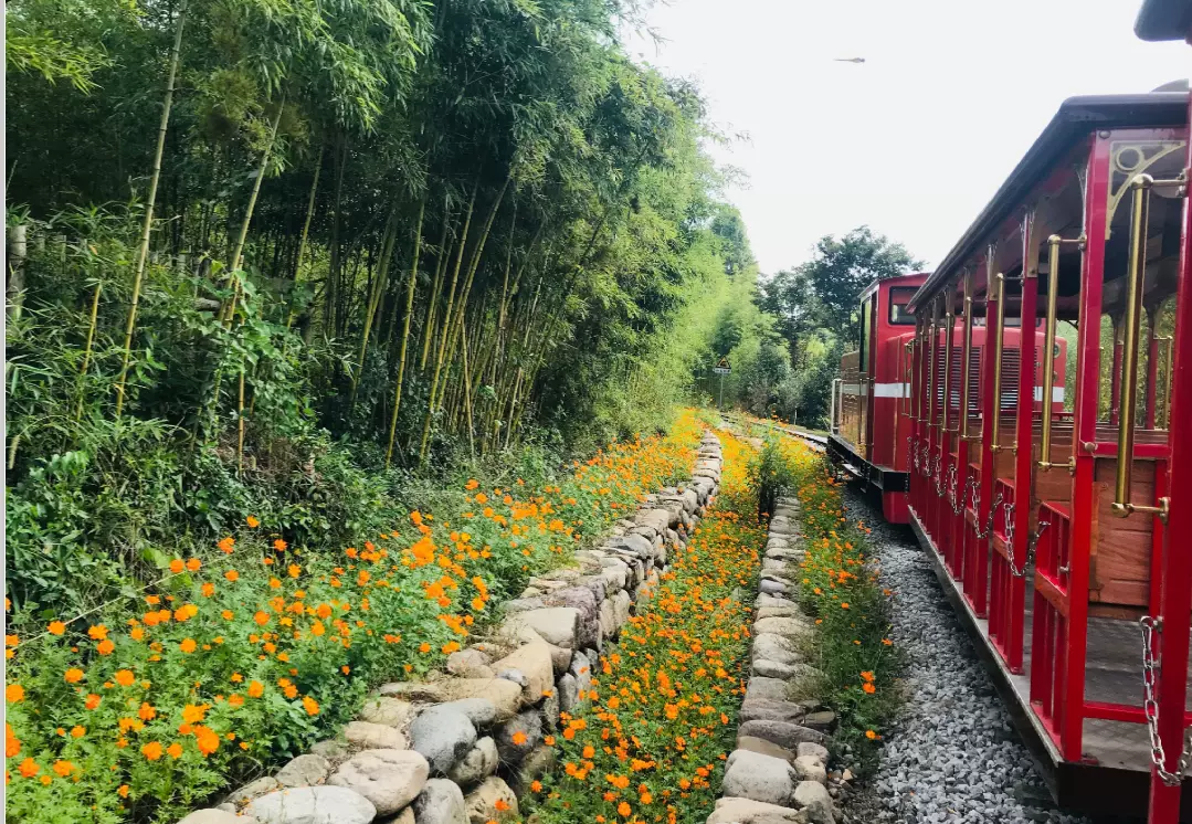 安吉鲁家村图片