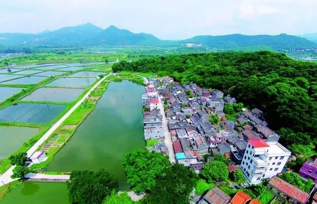 榴村陆家古村图片