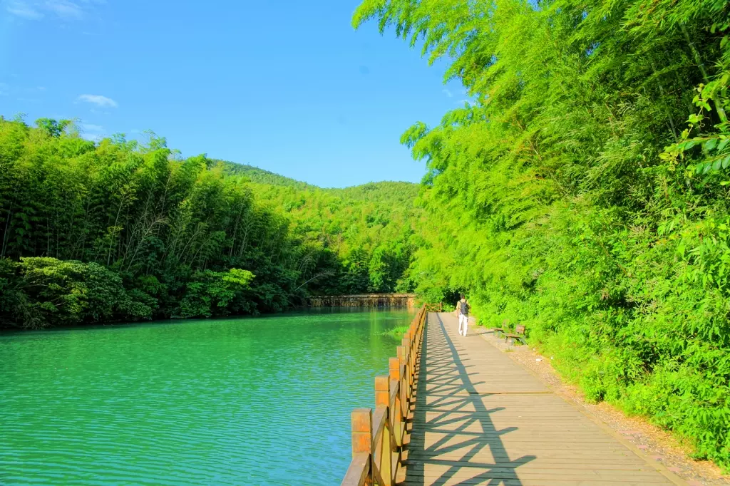 石塘竹海景区