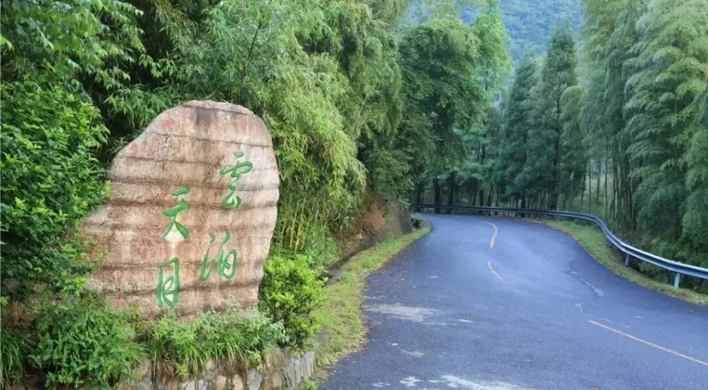 天目山自然保护区-天目石谷图片