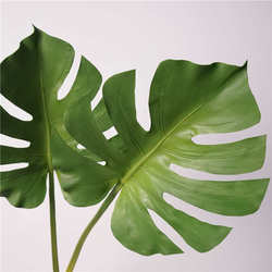 Nordic Ins wind tropical plants simulation green plants turtle back taro home interior decoration plant landscaping photography props