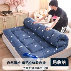 Mattress Feather Velvet Three-Dimensional Mattress for Student Dormitory Single Soft Bed Mattress Tatami Mattress Topper