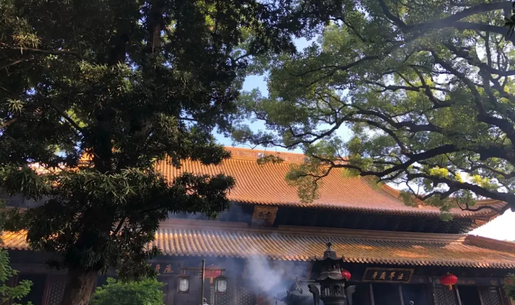 义济禅寺图片