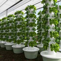 Vertical hydroponic tower garden intelligent vegetable planting machine soilless cultivation vegetable planting machine planting column pipeline gas cultivation
