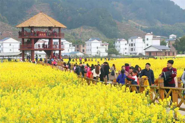 冷杉秋长花海影视基地图片