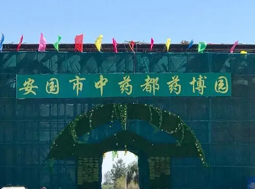 中药都药博园景区天气预报