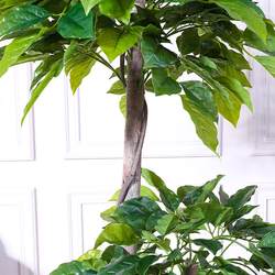 Artificial fake tree simulation plant happiness tree potted indoor home decoration green plant kt floor-standing living room decoration safe