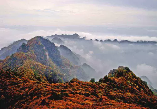 大历山风景区图片