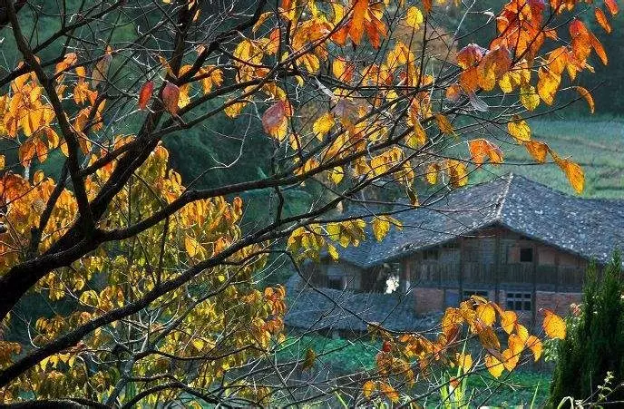 禾山风景区图片