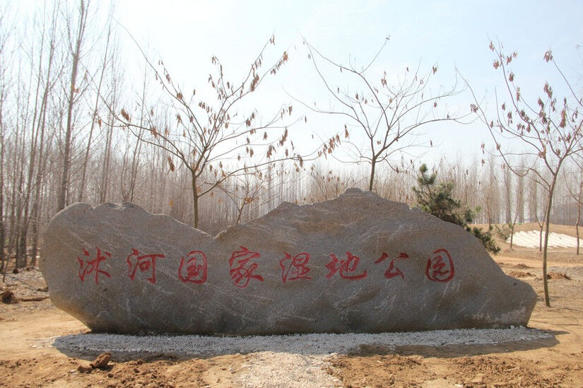 沭河古道景区天气预报