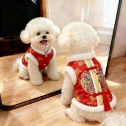 Chinese-Style New Year Dragon Robe for Small Dogs, Thick Winter Clothing for Small Dogs Like Pomeranians and Teddy Dogs, Pet Cat Clothing with Traditional Chinese Buttons