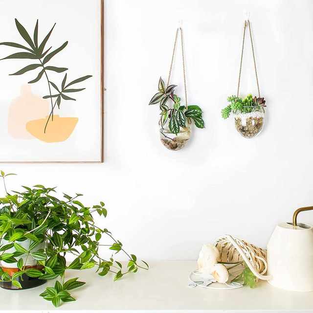 Hanging hydroponic egg-shaped glass vase wall hanging water plant container home gardening wall decoration pendant