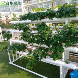 Pipeline household hydroponic automatic watering PVC pipe balcony vegetable grower planting rack soilless cultivation equipment