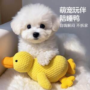 Dog toy plush sleeping with duck toys grinding teeth Cat toys Small and medium-sized dog pets speak out and relieve boredom