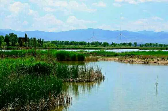 双甸镇湿地公园图片