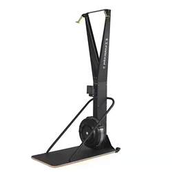 Commercial wind resistance ski machine gym aerobic exercise equipment women's shaping indoor simulated rowing training device