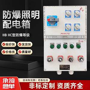 
Explosion-proof distribution box instrument maintenance box power socket switch box industrial junction box lighting control cabinet