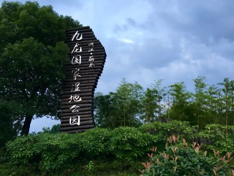 九龙湾湿地公园景区天气预报