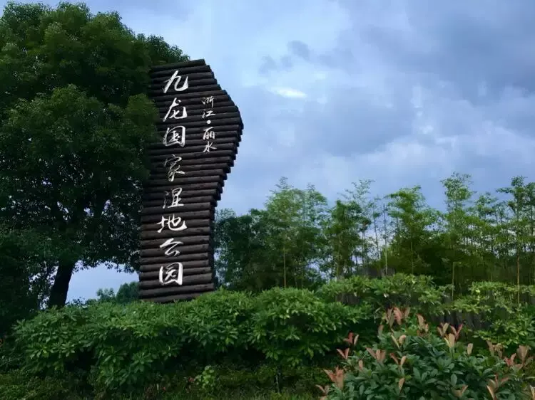 九龙湾湿地公园图片