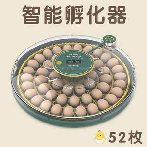 
Cross-border fully automatic small household smart pet chicken breeding and incubator automatic incubator equipment