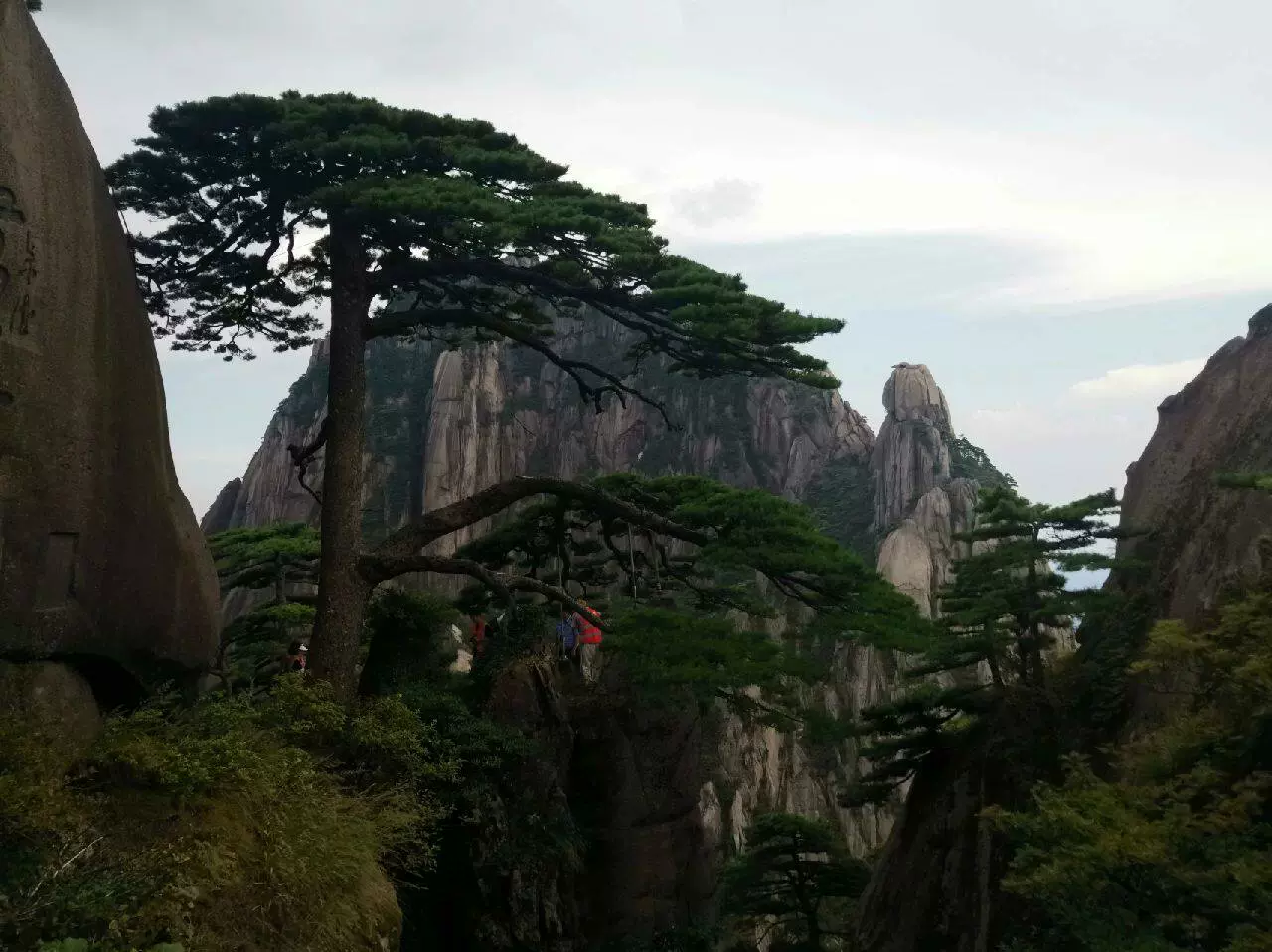 老君山风景名胜区-迎客松图片