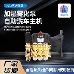 Pressure-Resistant 280kg Ultra-High-Pressure Cleaning Machine Pump Head, Commercial Car Washing Machine Copper Pump Head, Cooling, Dust Removal, Humidification, Atomization Pump