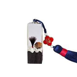 Navel Cord and Fetal Hair Keepsake Box for Baby's First Hair, DIY Baby Navel Cord Collection Box for Full Month and 100 Days Celebration