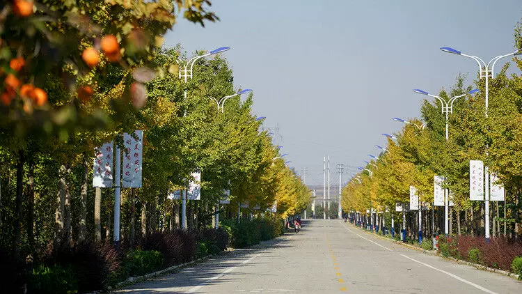 莱阳市濯村特色农业旅游区图片