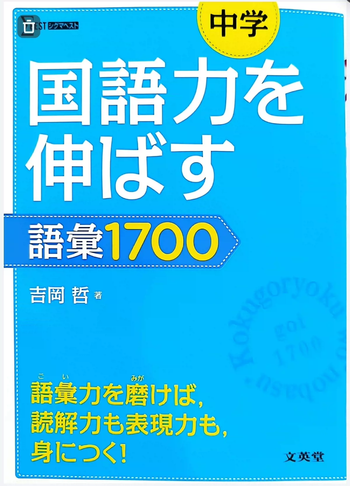 国語力を伸ばす語彙1700-Taobao