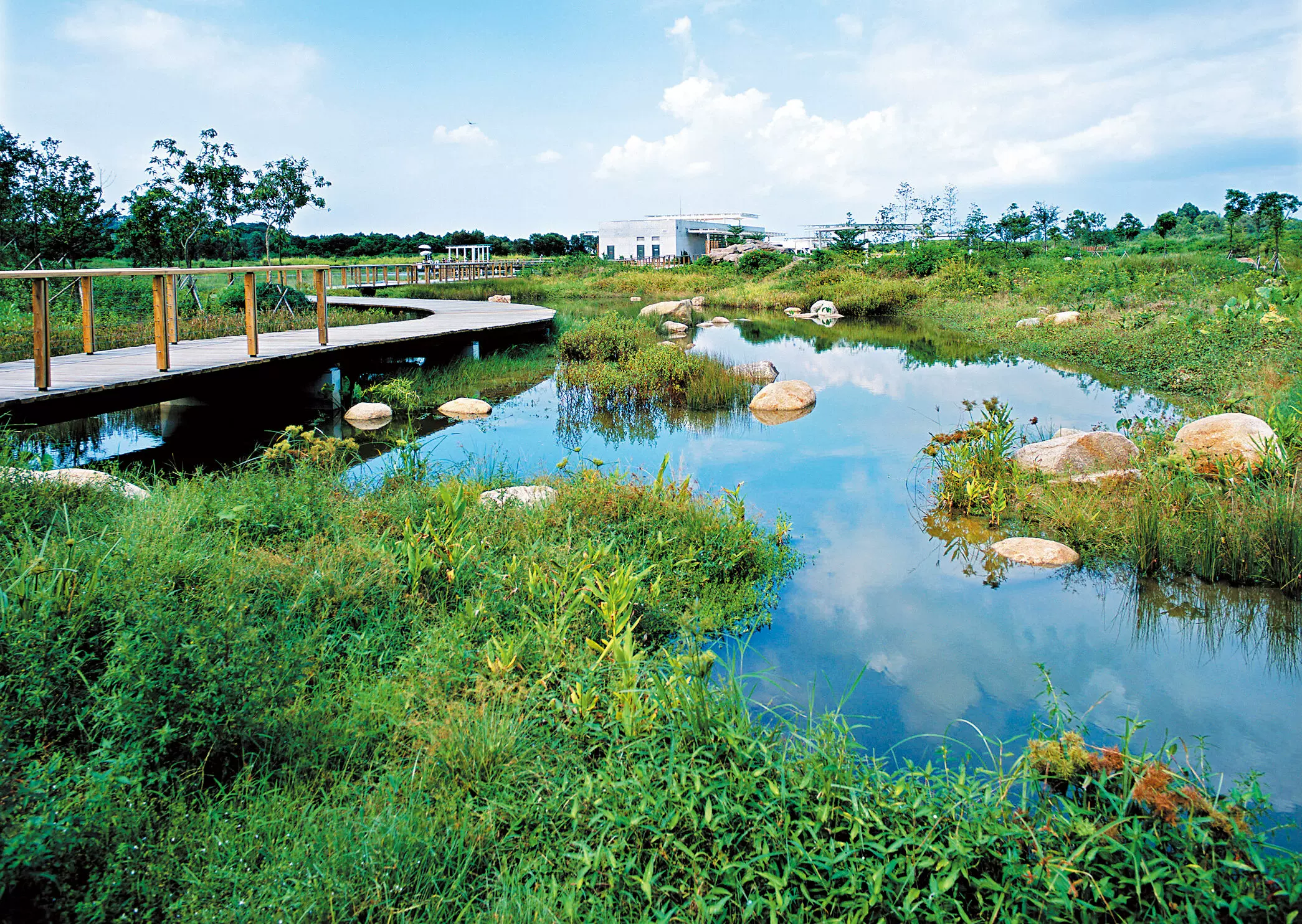 石龙湖湿地保护区图片