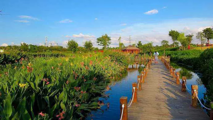 那考河湿地公园图片